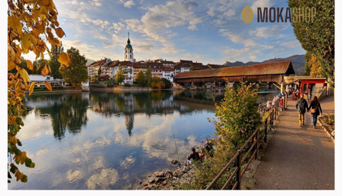 herbststimmung-in-oltenlogobianco