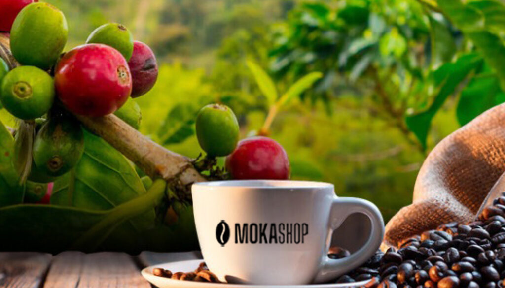 Sweet Probieren Sie die original Nescafé Nestlé Mokashop Online Kapseln - Orizont Line 